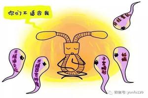 晋江产后几个月可以上环(产后几个月可以去上环)