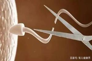 晋江怀孕多久要引产(怀孕多久要引产?)